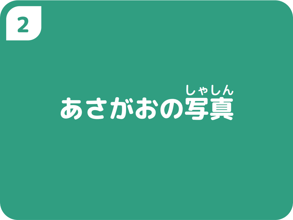 ②あさがおの写真
