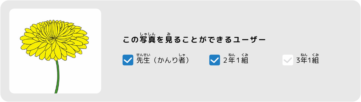 この写真を見るこのできるユーザー