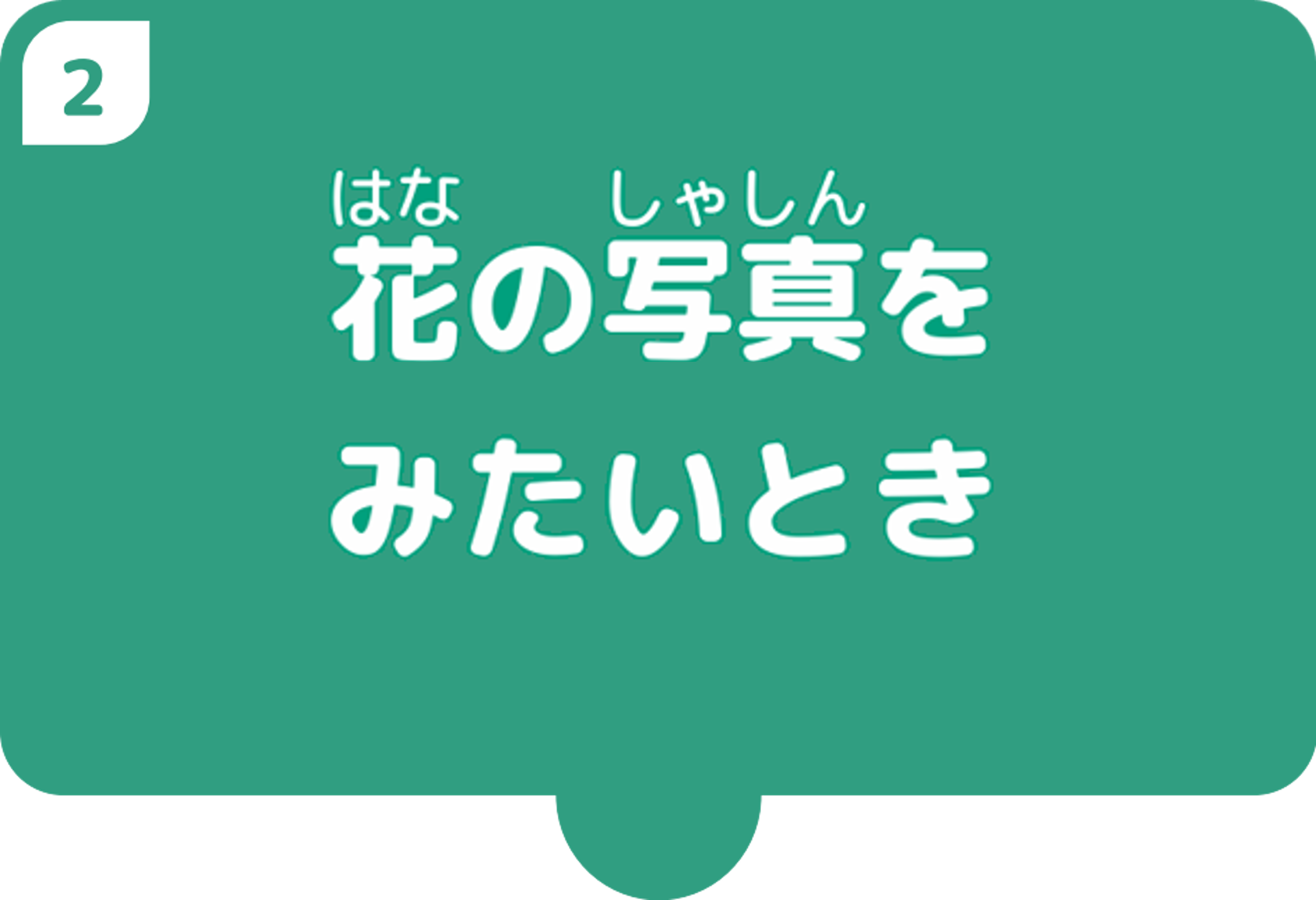 花の写真を見たいとき
