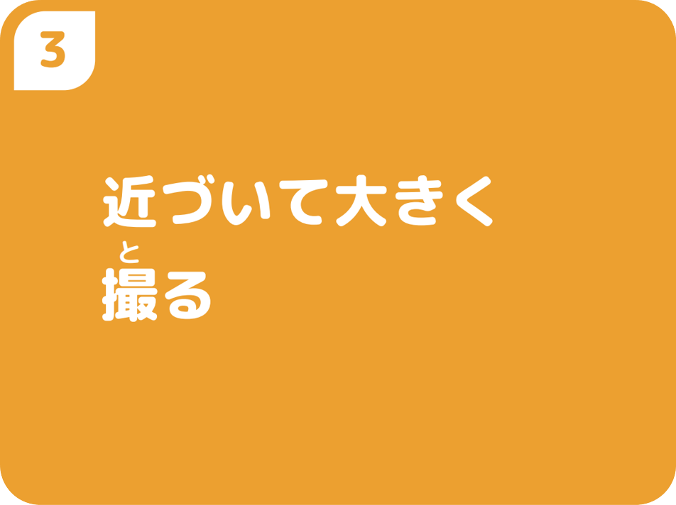 ③近づいて大きく撮る