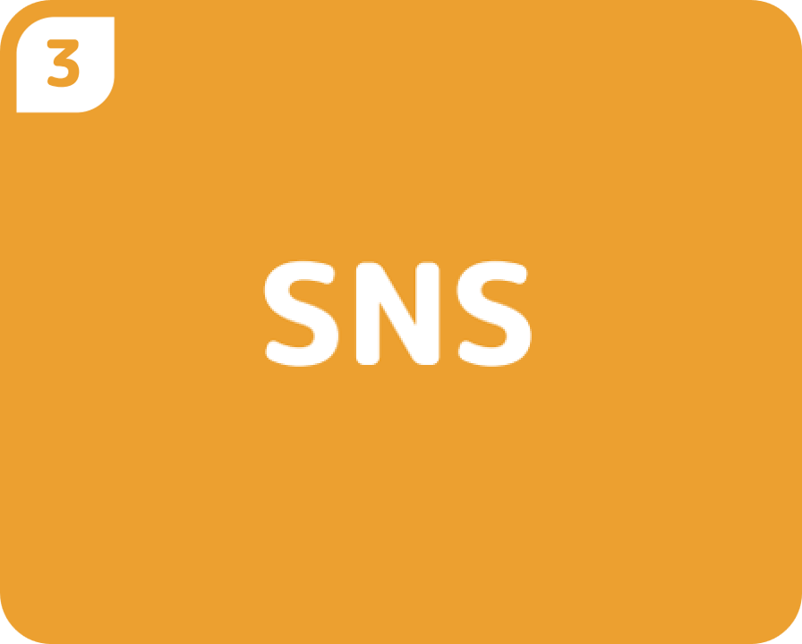③SNS
